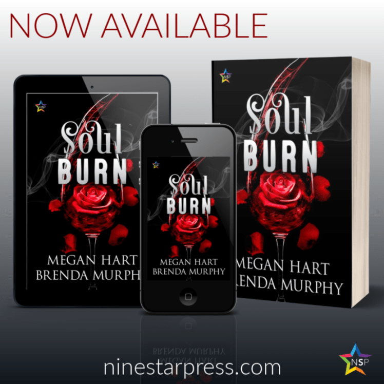 Soul Burn Now Available