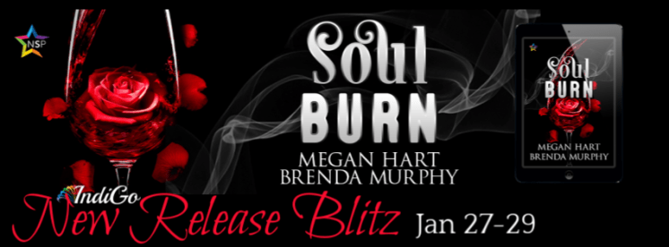 Sould Burn Banner
